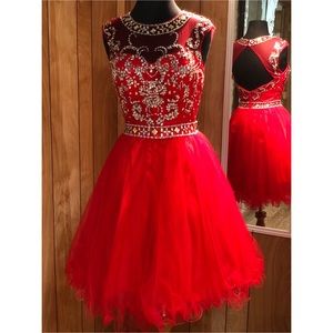 Homecoming Dress/ Cocktail Dress